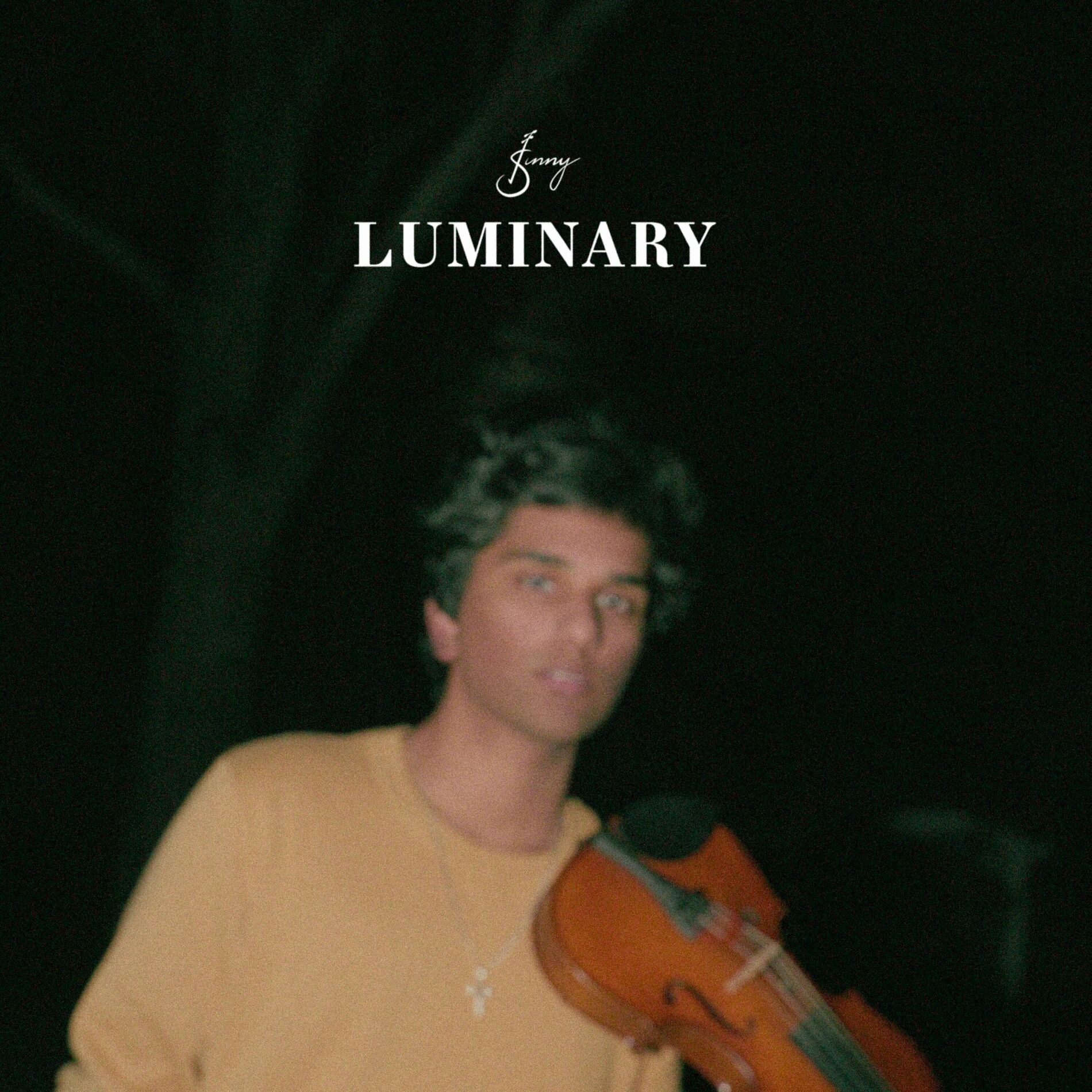 Album cover of Luminary