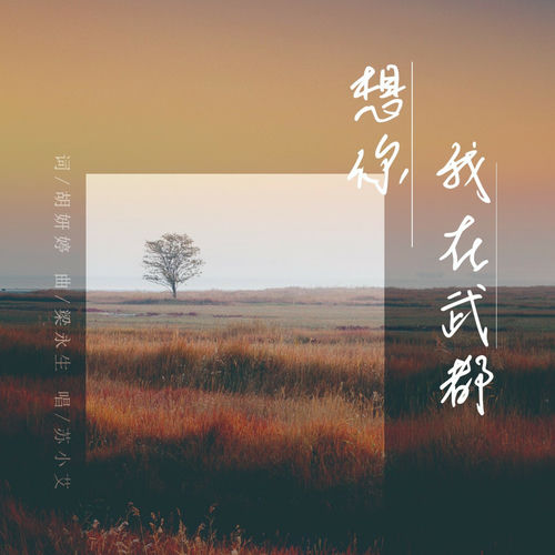 我在武都想你
