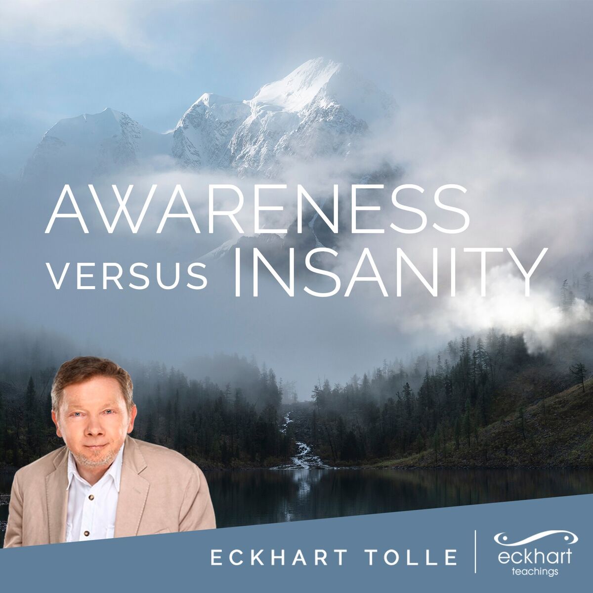Album cover of Awareness Versus Insanity