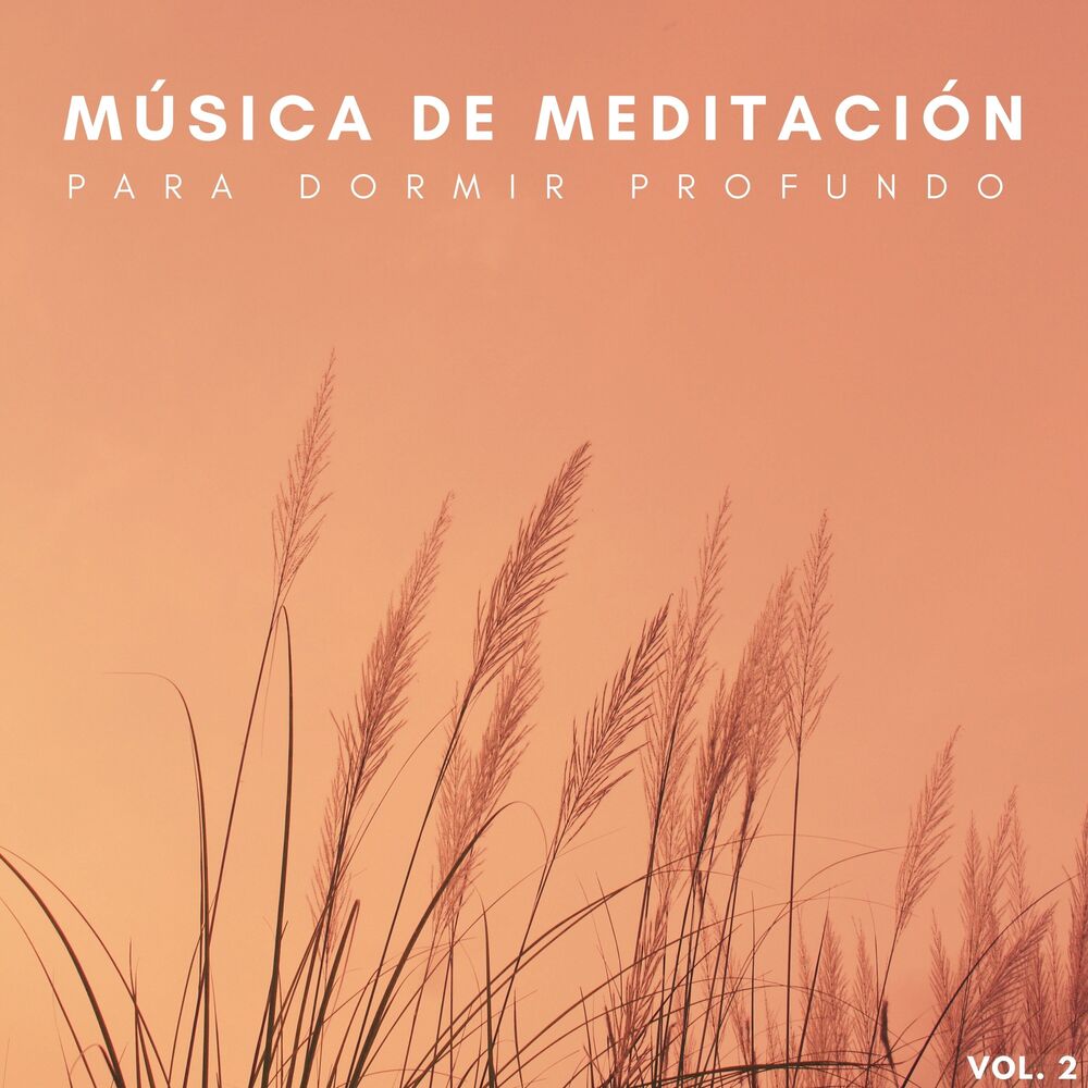Picture of Música De Meditación Para Dormir Profundo Vol. 2