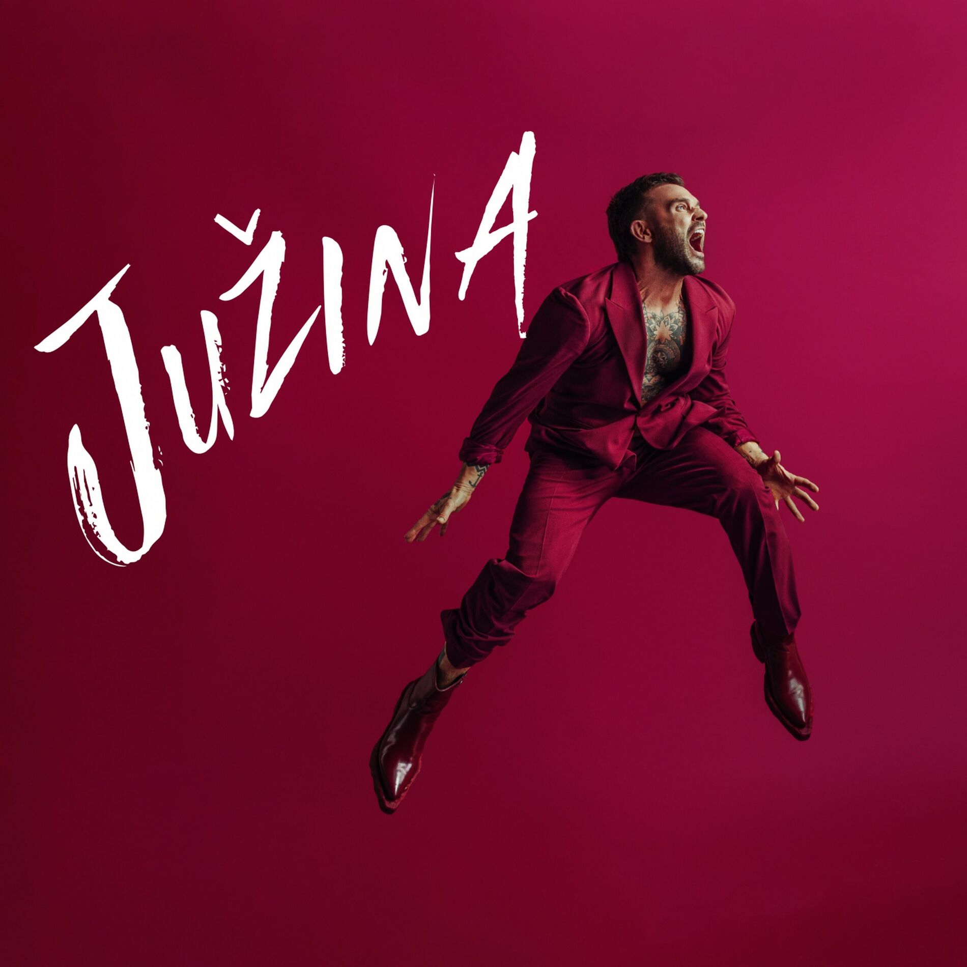 Album cover of Južina