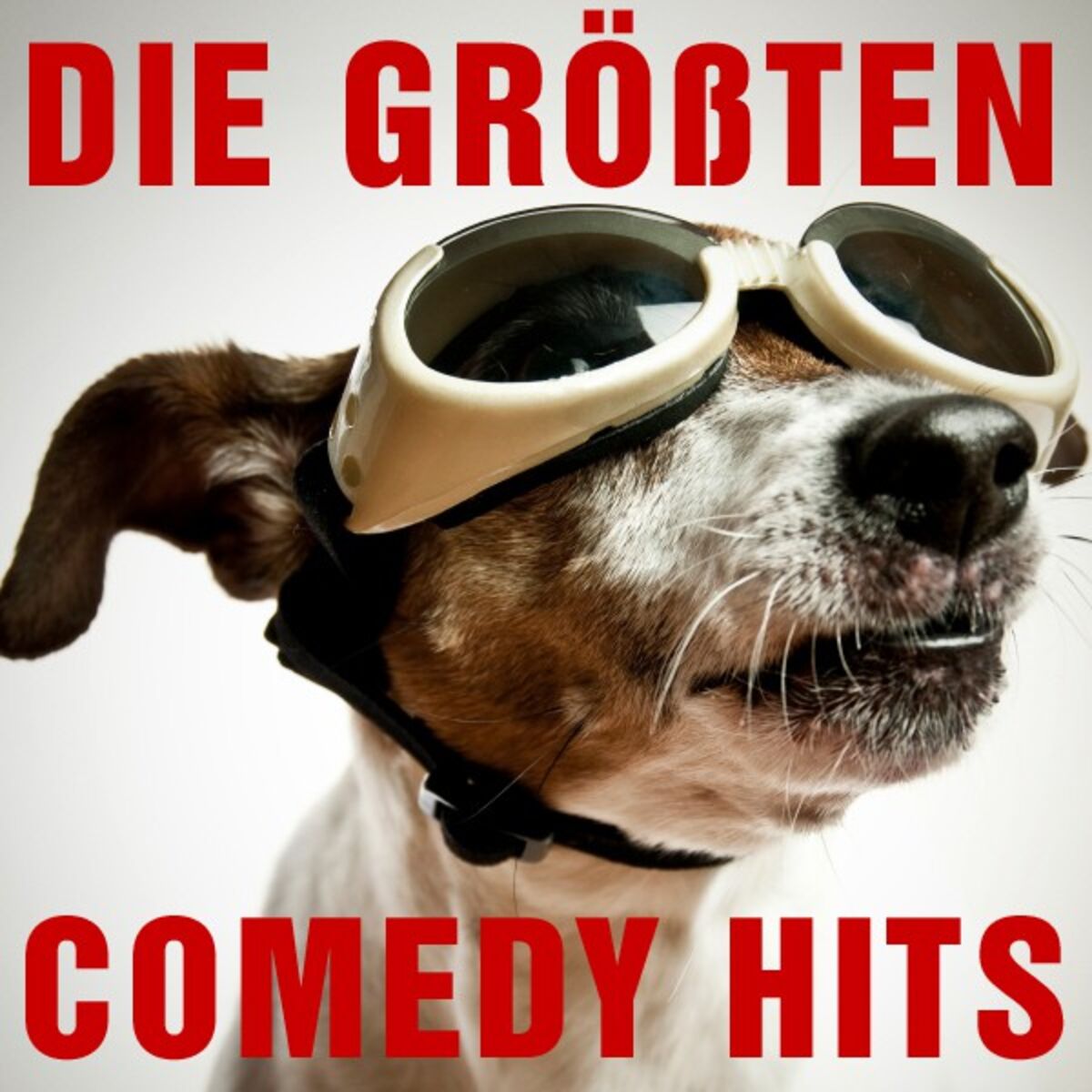 Album cover of Die größten Comedy Hits