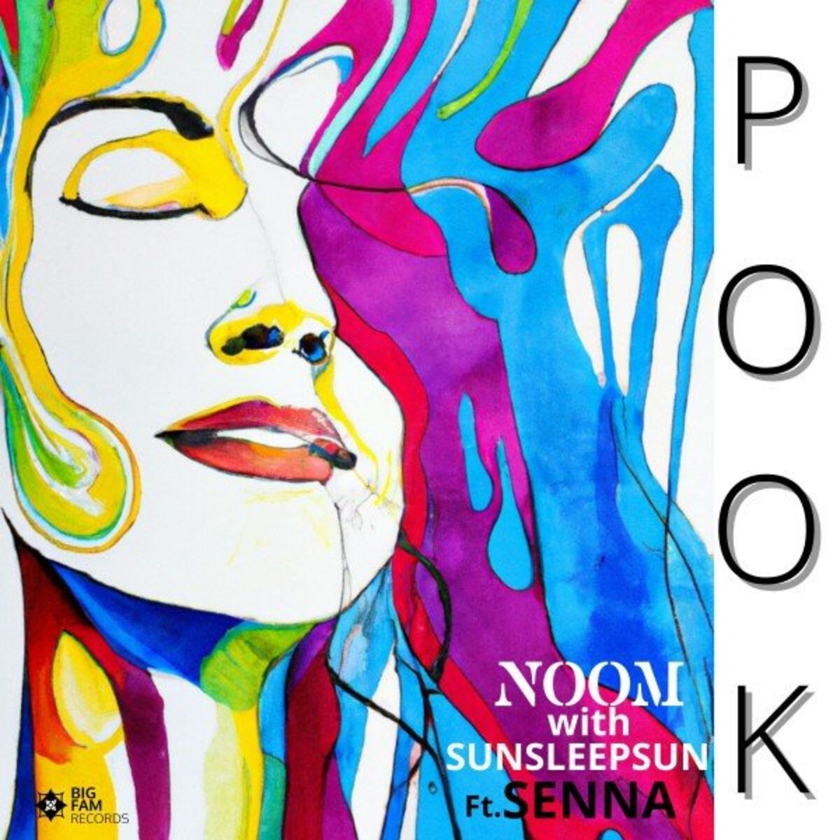 Album cover of Pook (Radio Edit)