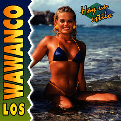 Cover of Hay un Estilo