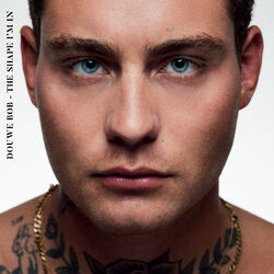 Cover of The Shape I'm In
