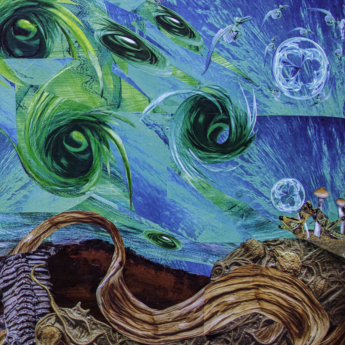 Album cover of The Cull