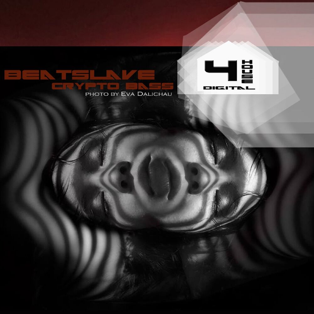 Picture of BeatSlave