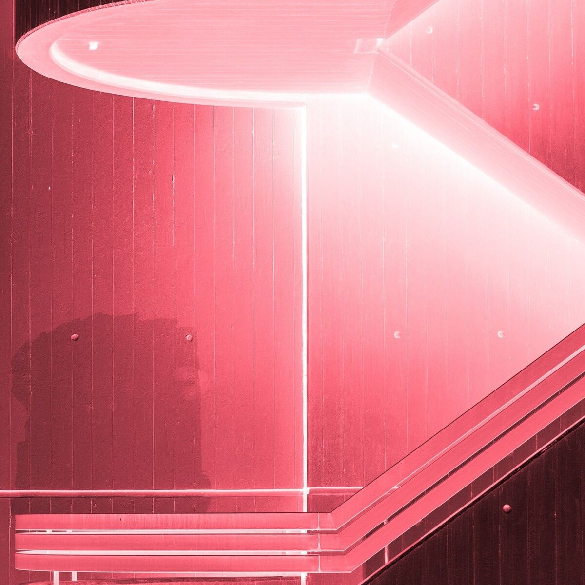 Album cover of Pink