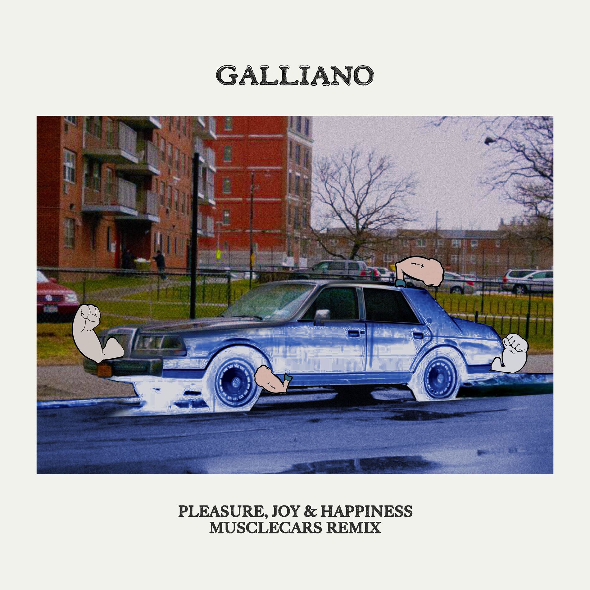 Album cover of Pleasure, Joy & Happiness (musclecars remix)