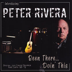 Cover of Been There-Doin' This