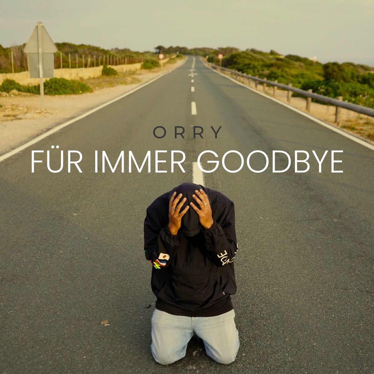 Album cover of Für immer Goodbye