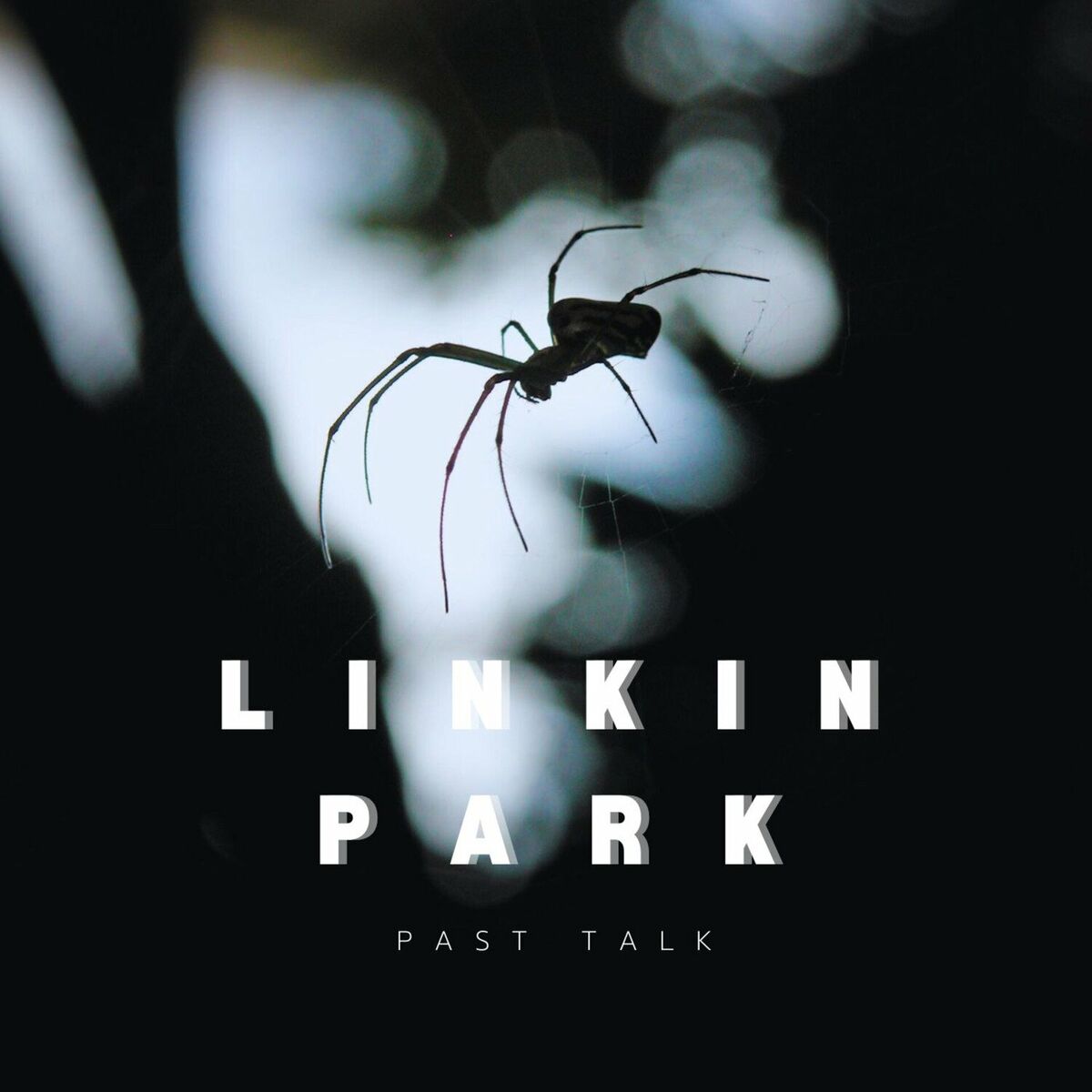 Album cover of Past Talk