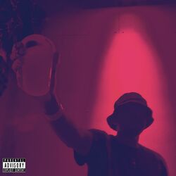 Cover of IDK