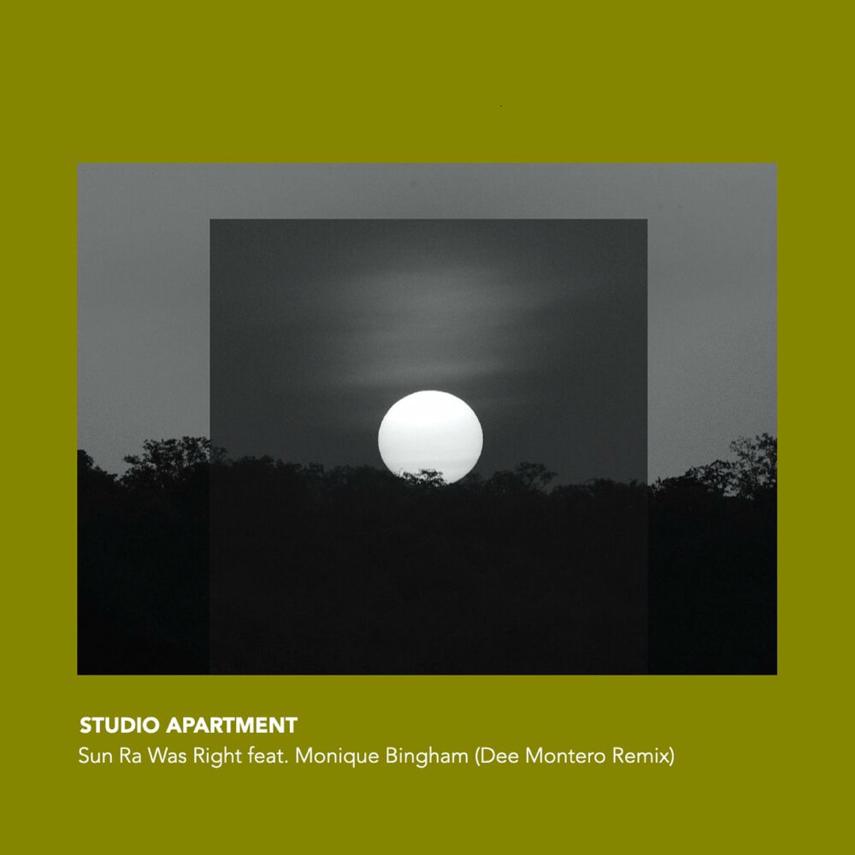 Album cover of Sun Ra Was Right