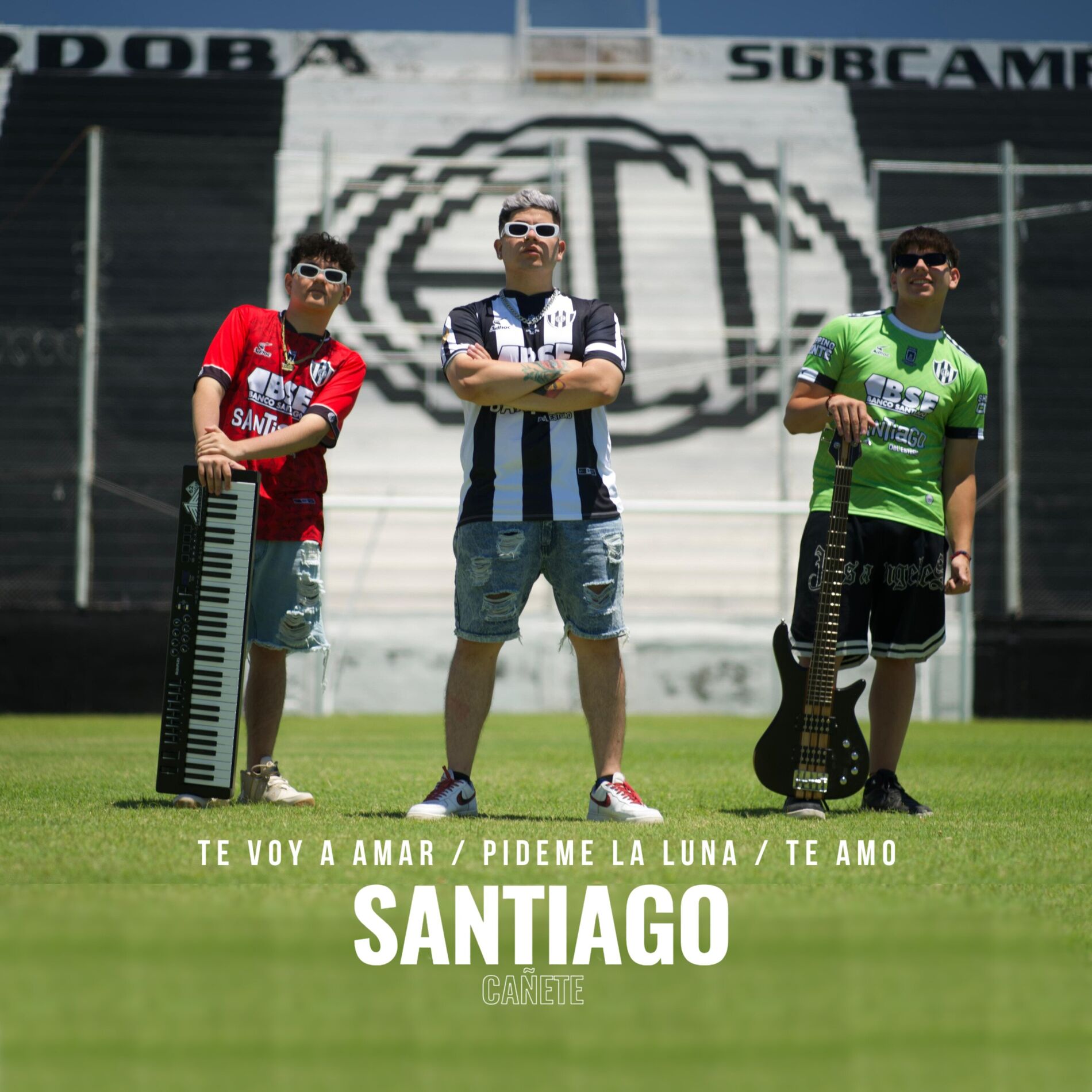 Album cover of Te Voy a Amar /Pideme la Luna / Te Amo