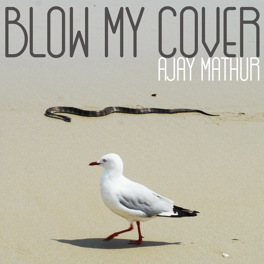 Picture of Blow My Cover