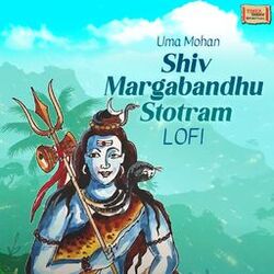 Cover of Shiv Margabandhu Stotram (Lofi)