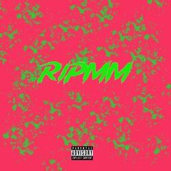 Cover of RIPMM