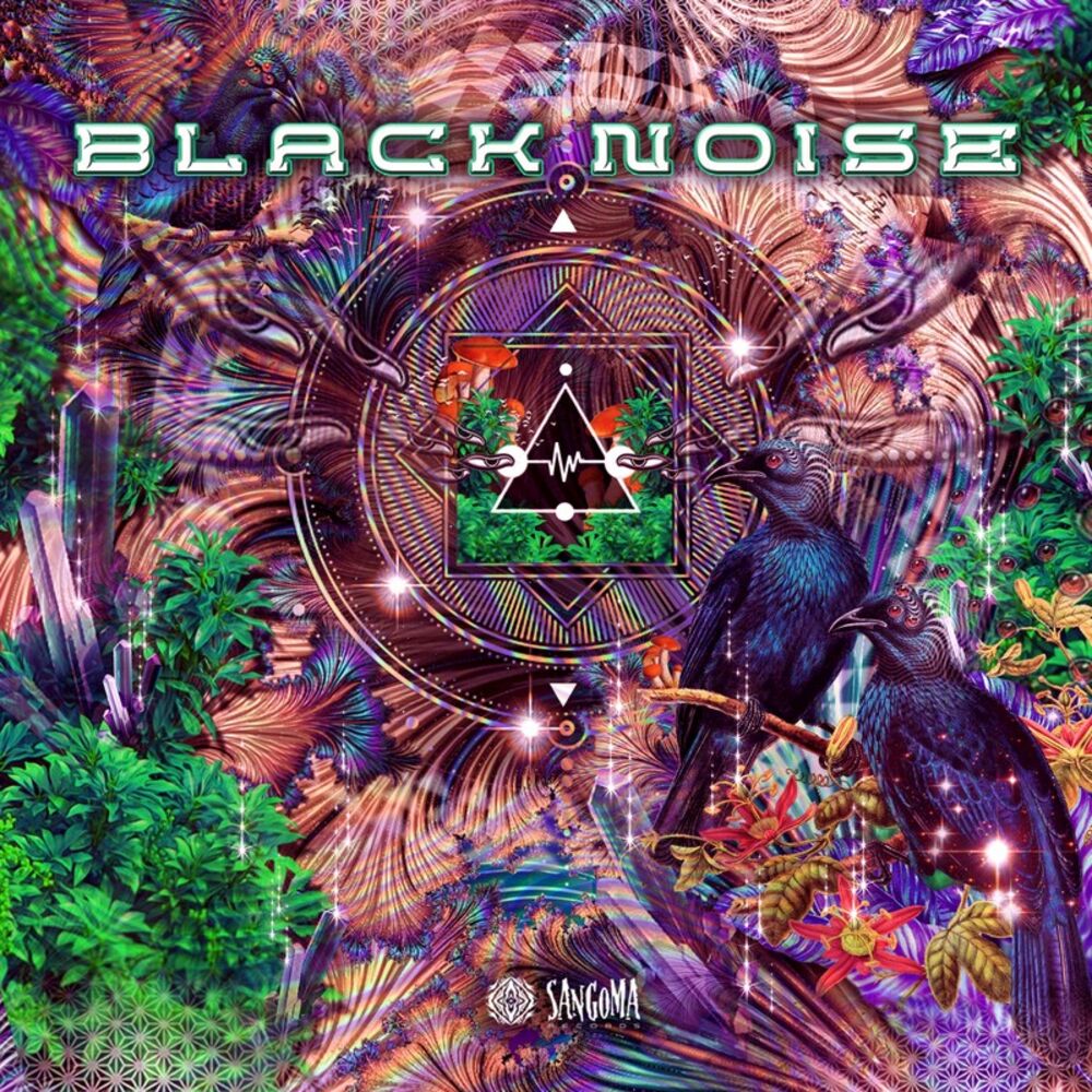 Picture of Black Noise
