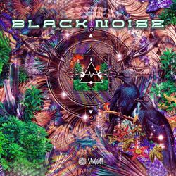 Cover of Black Noise