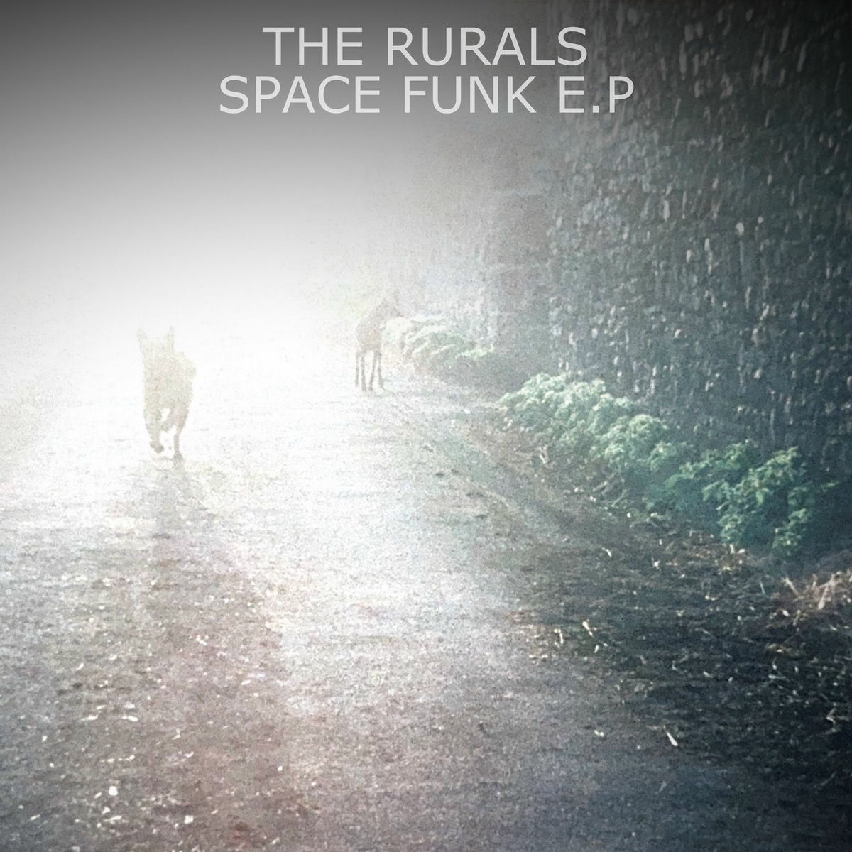 Album cover of Space Funk E.P