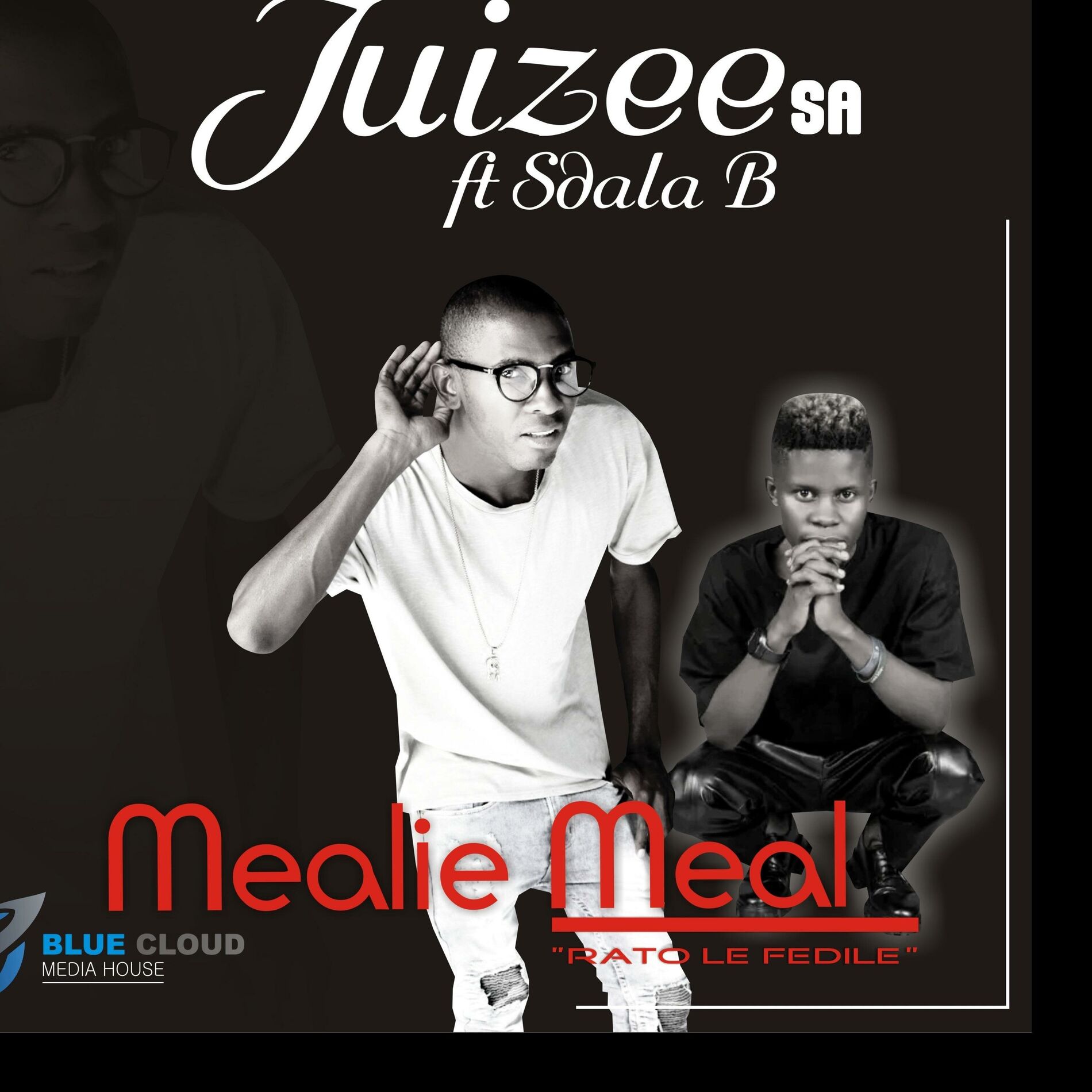 Album cover of Mealie Meal (feat. Sdala B)