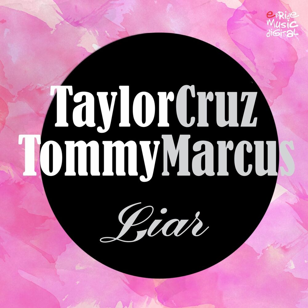 Picture of Liar