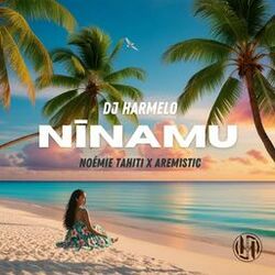 Cover of Nīnamu