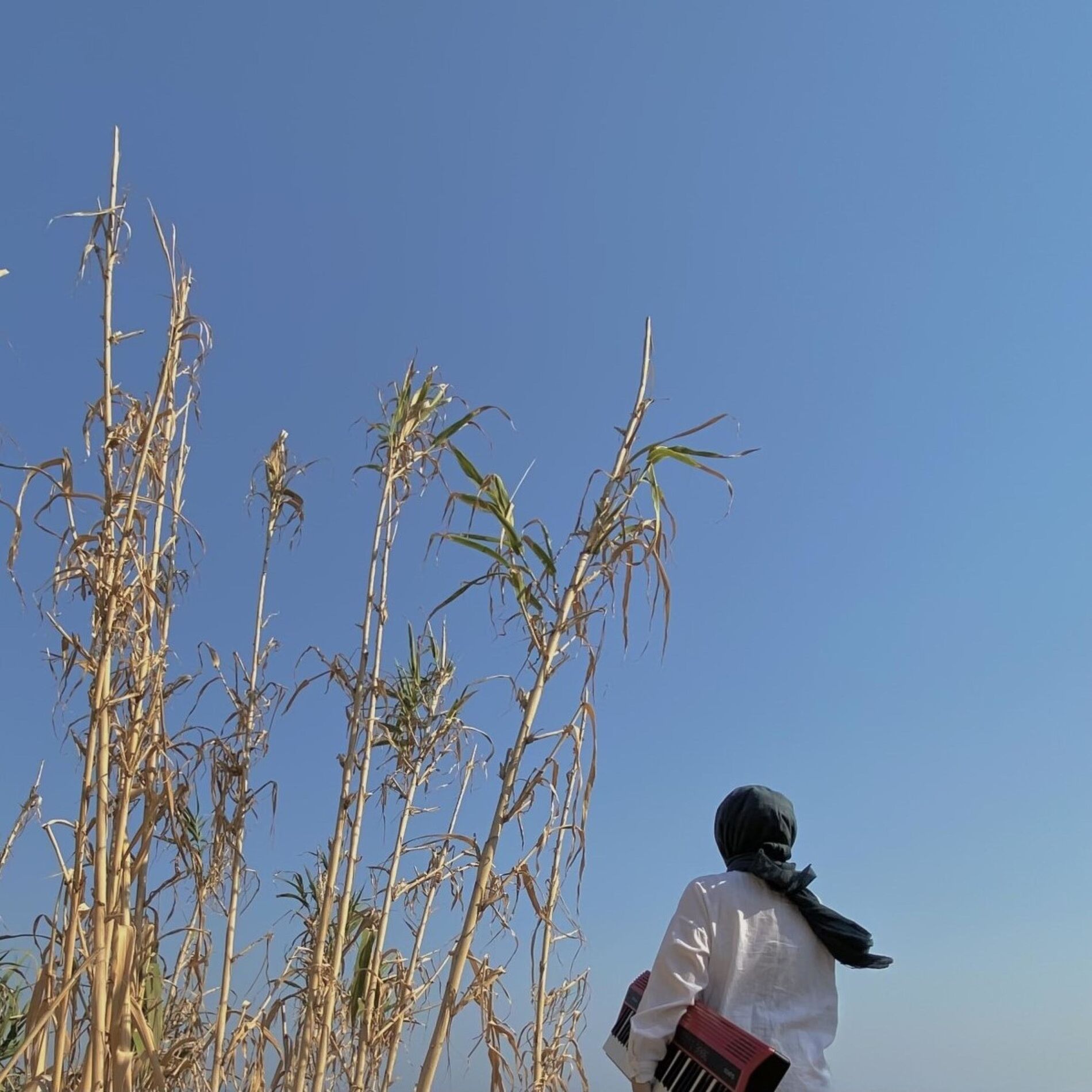 Album cover of Kuledibi No. 1