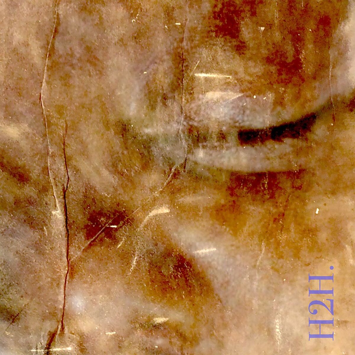 Album cover of Homage to Humanity