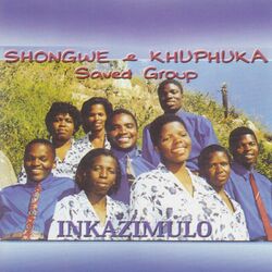 Cover of Inkazimulo