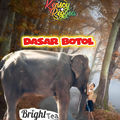 DASAR BOTOL