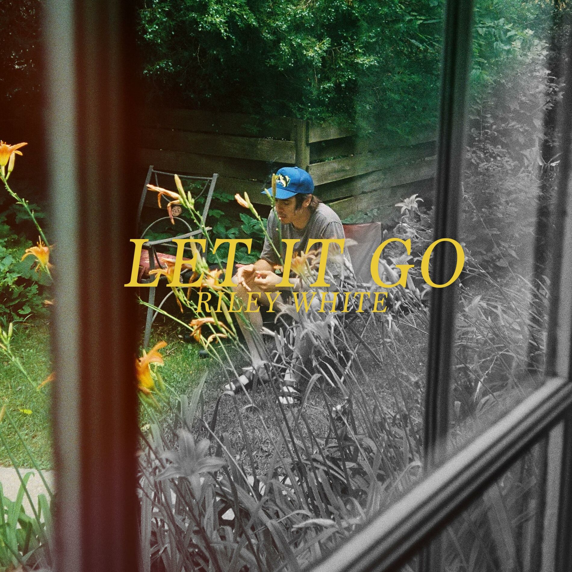 Album cover of Let It Go