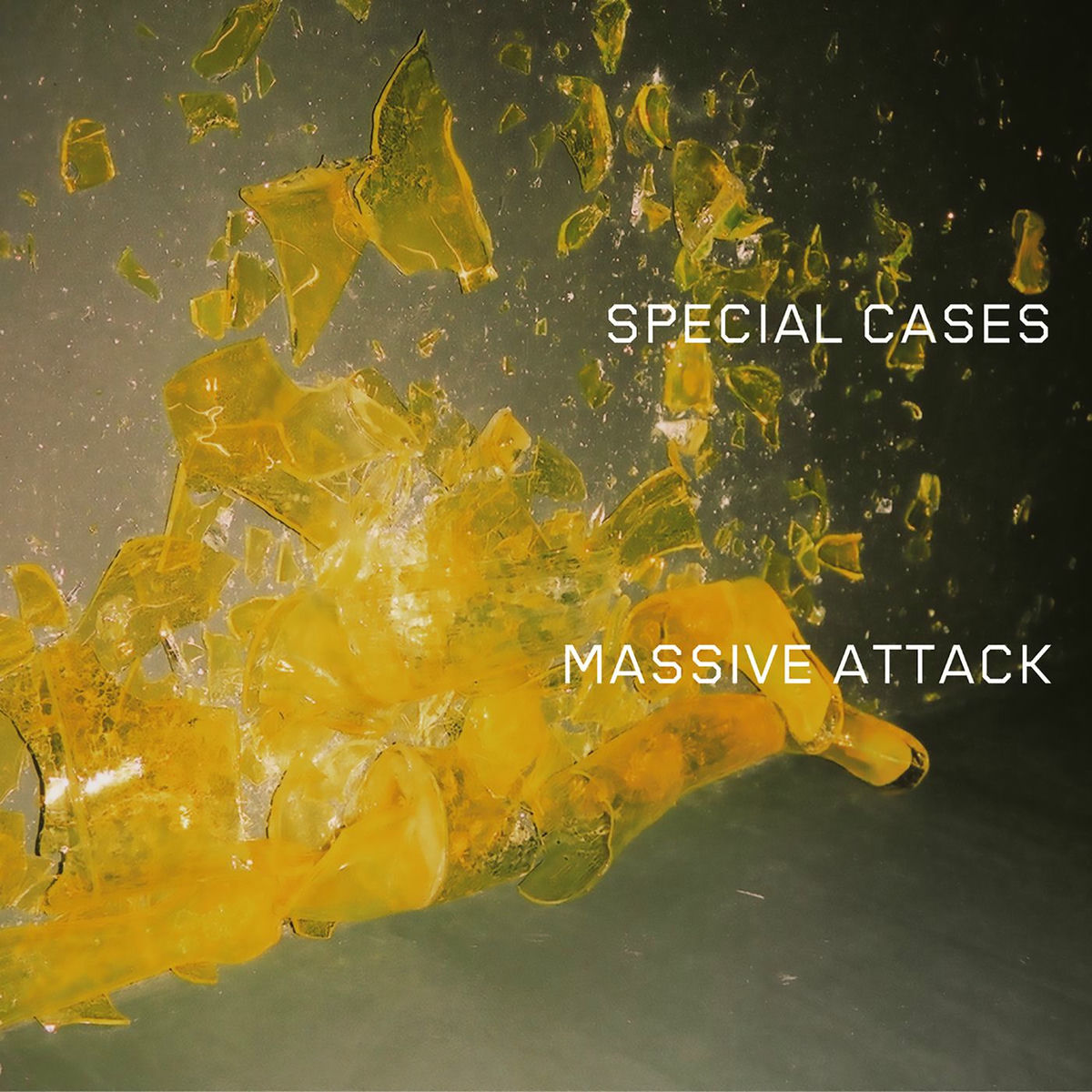 Album cover of Special Cases