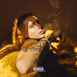 Cover of RICCO