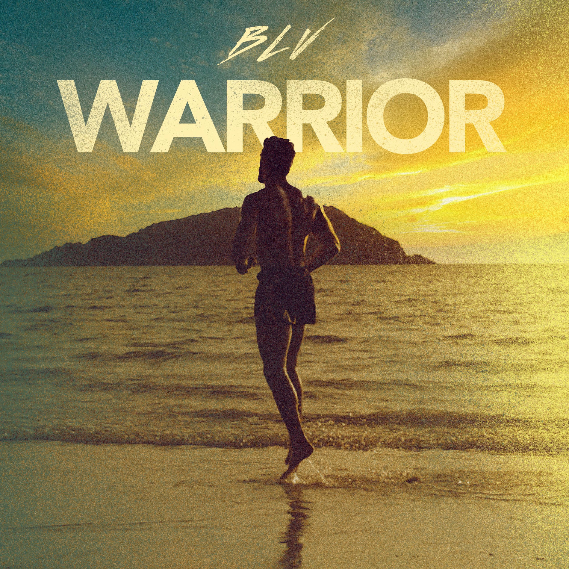 Album cover of Warrior
