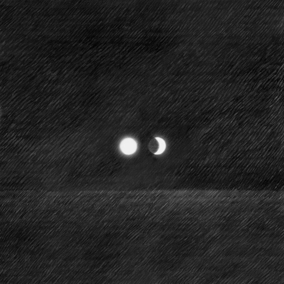 Album cover of Venomous Moon