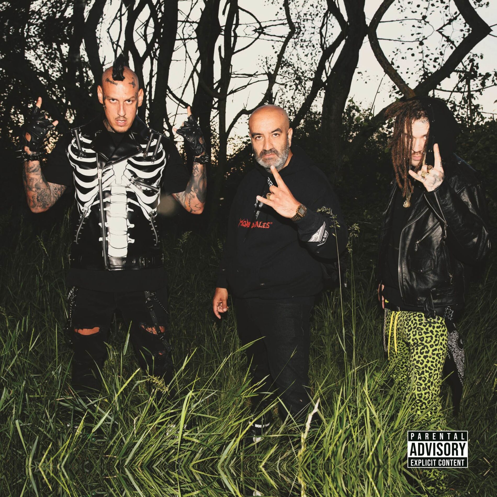 Album cover of HUHU