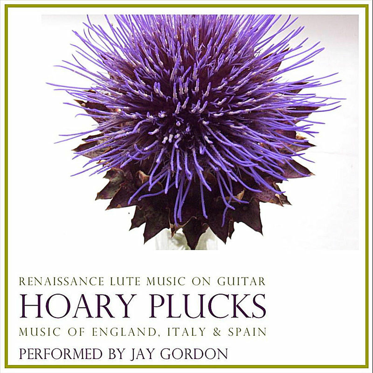Album cover of Hoary Plucks: Renaissance Lute Music on Guitar