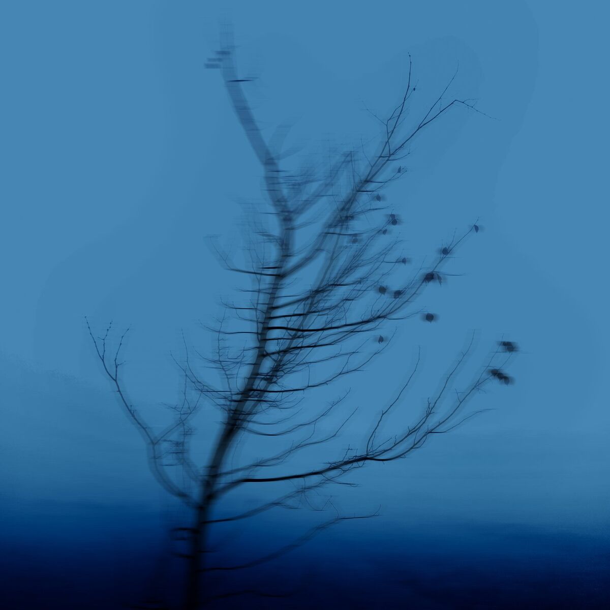 Album cover of confused