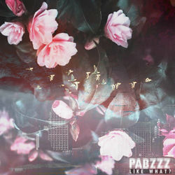 music cover