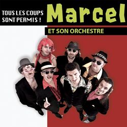 Cover of Tous les coups sont permis ! (Acoustique 2012)