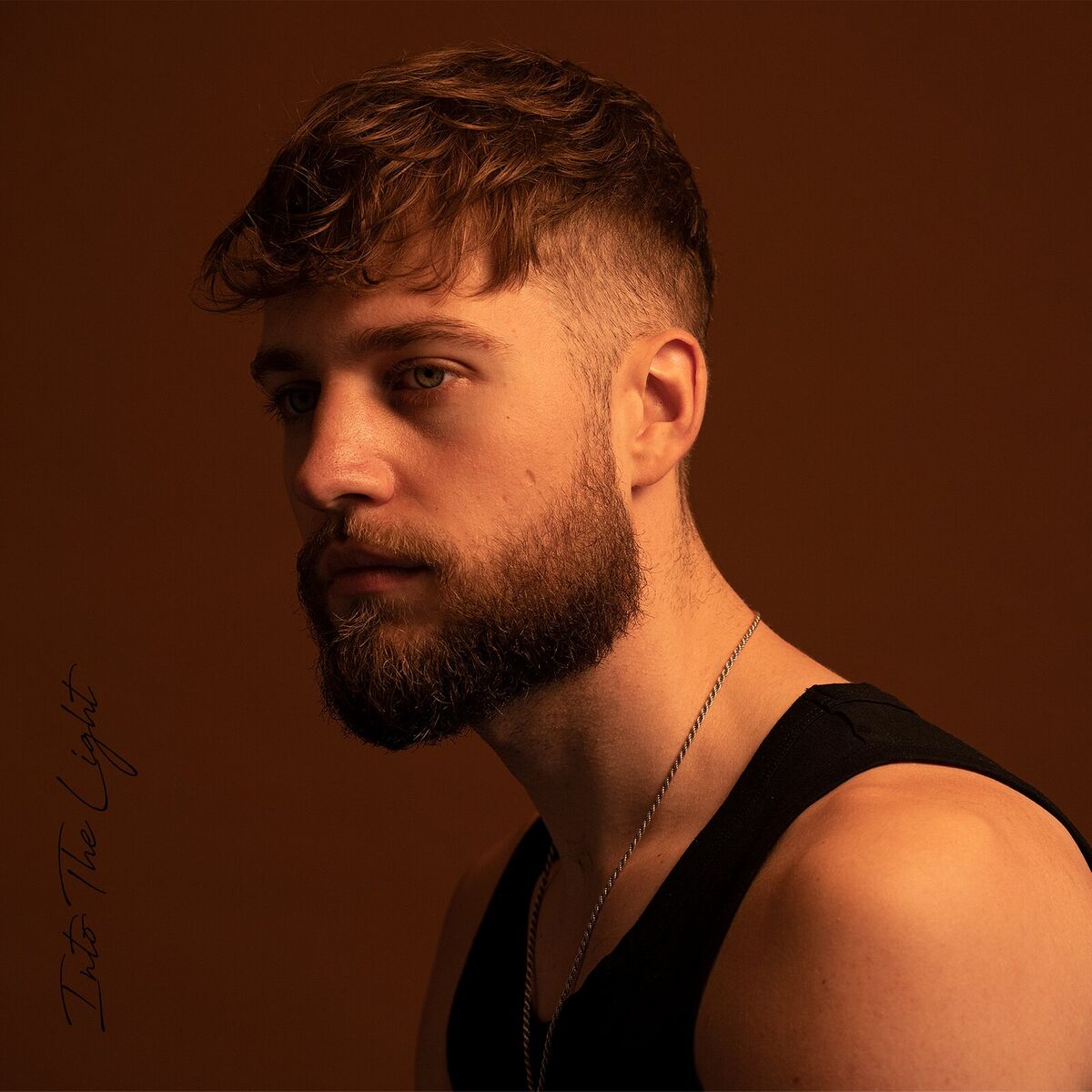 Album cover of Into the Light