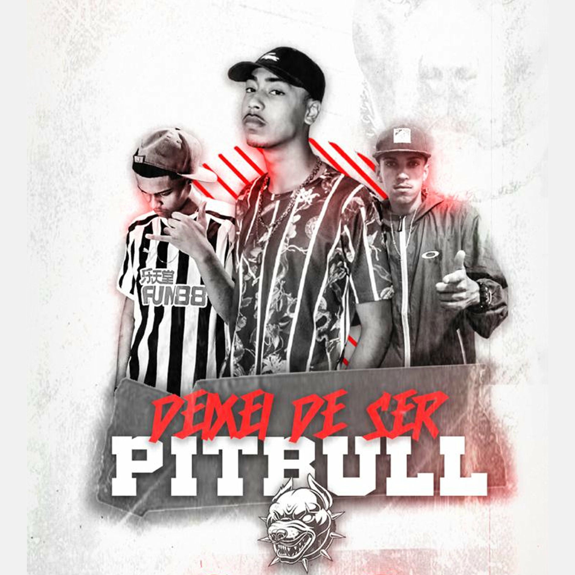 Album cover of Deixei de Ser Pitbull