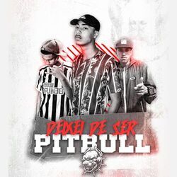 Cover of Deixei de Ser Pitbull