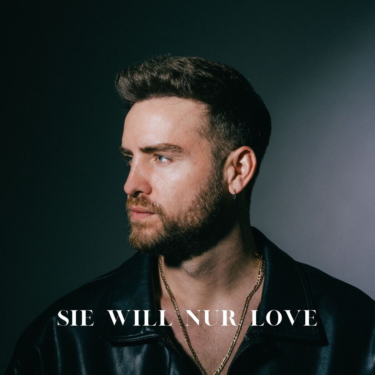 Album cover of Sie will nur Love
