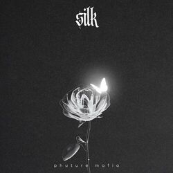 Cover of Silk