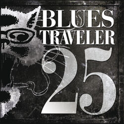 Cover of 25