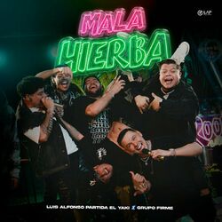 Cover of Mala Hierba