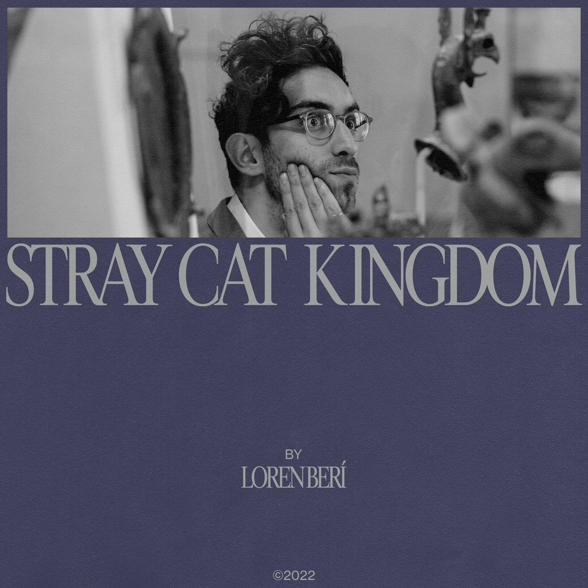 Album cover of Stray Cat Kingdom